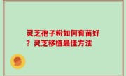 灵芝孢子粉如何育苗好？灵芝移植最佳方法