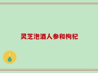 灵芝泡酒人参和枸杞