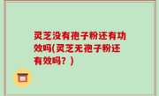 灵芝没有孢子粉还有功效吗(灵芝无孢子粉还有效吗？)