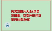 风灵芝图片大全(风灵芝图集：百变外形印证草药珍贵身份)