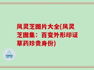 风灵芝图片大全(风灵芝图集：百变外形印证草药珍贵身份)