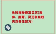 鱼胶海参鹿茸灵芝(海参、鹿茸、灵芝和鱼胶天然养生配方)