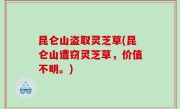 昆仑山盗取灵芝草(昆仑山遭窃灵芝草，价值不明。)