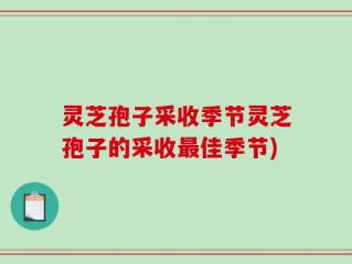 灵芝孢子采收季节灵芝孢子的采收最佳季节)