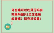 牙齿痛可以吃灵芝吗有效果吗图片(灵芝能缓解牙痛？探究其效果！)