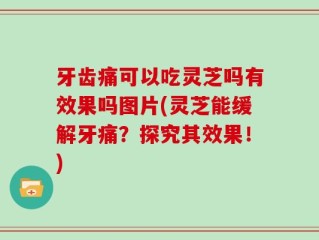 牙齿痛可以吃灵芝吗有效果吗图片(灵芝能缓解牙痛？探究其效果！)