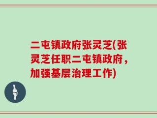 二屯镇政府张灵芝(张灵芝任职二屯镇政府，加强基层治理工作)
