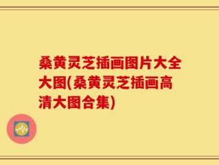 桑黄灵芝插画图片大全大图(桑黄灵芝插画高清大图合集)