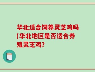 华北适合饲养灵芝鸡吗(华北地区是否适合养殖灵芝鸡？