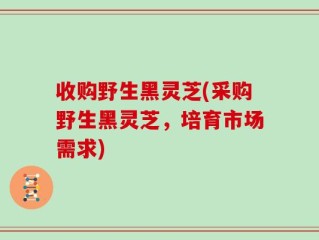 收购野生黑灵芝(采购野生黑灵芝，培育市场需求)