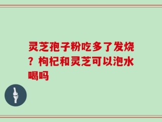 灵芝孢子粉吃多了发烧？枸杞和灵芝可以泡水喝吗