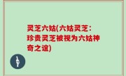灵芝六姑(六姑灵芝：珍贵灵芝被视为六姑神奇之谊)