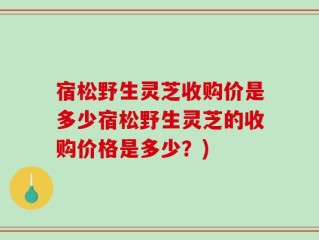 宿松野生灵芝收购价是多少宿松野生灵芝的收购价格是多少？)