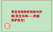 灵芝乌鸡养肝功效与作用(灵芝乌鸡——肝脏养护良方)