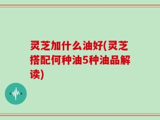 灵芝加什么油好(灵芝搭配何种油5种油品解读)