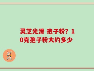 灵芝光滑 孢子粉？10克孢子粉大约多少