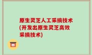 原生灵芝人工采摘技术(开发出原生灵芝高效采摘技术)