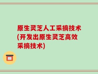 原生灵芝人工采摘技术(开发出原生灵芝高效采摘技术)