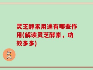 灵芝酵素用途有哪些作用(解读灵芝酵素，功效多多)