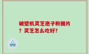 破壁机灵芝孢子粉图片？灵芝怎么吃好？