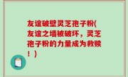 友谊破壁灵芝孢子粉(友谊之墙被破坏，灵芝孢子粉的力量成为救赎！)