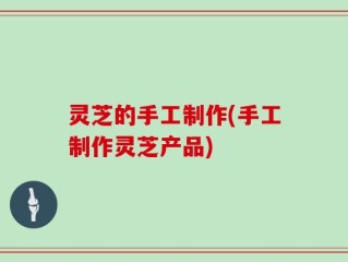 灵芝的手工制作(手工制作灵芝产品)