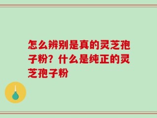 怎么辨别是真的灵芝孢子粉？什么是纯正的灵芝孢子粉