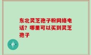 东北灵芝孢子粉网络电话？哪里可以买到灵芝孢子