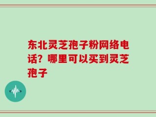 东北灵芝孢子粉网络电话？哪里可以买到灵芝孢子