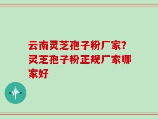 云南灵芝孢子粉厂家？灵芝孢子粉正规厂家哪家好
