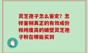 灵芝孢子怎么鉴定？怎样鉴别真正的有效成份和纯度高的破壁灵芝孢子粉在哪能买到