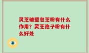 灵芝破壁包芝粉有什么作用？灵芝孢子粉有什么好处