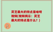 灵芝最大的特点是啥呀视频(视频揭示：灵芝最大的特点是什么？)