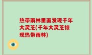 热带雨林里面发现千年大灵芝(千年大灵芝惊现热带雨林)