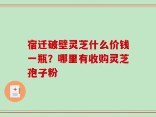 宿迁破壁灵芝什么价钱一瓶？哪里有收购灵芝孢子粉
