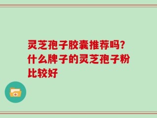 灵芝孢子胶囊推荐吗？什么牌子的灵芝孢子粉比较好