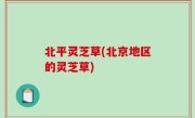 北平灵芝草(北京地区的灵芝草)