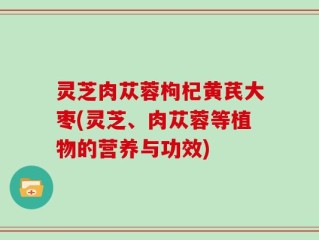灵芝肉苁蓉枸杞黄芪大枣(灵芝、肉苁蓉等植物的营养与功效)