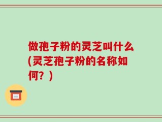 做孢子粉的灵芝叫什么(灵芝孢子粉的名称如何？)