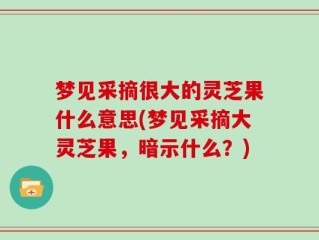 梦见采摘很大的灵芝果什么意思(梦见采摘大灵芝果，暗示什么？)