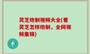 灵芝炮制视频大全(看灵芝怎样炮制，全网视频集锦)