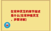 在家种灵芝的细节描述是什么(在家种植灵芝，步骤详解)
