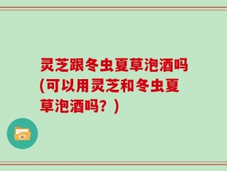 灵芝跟冬虫夏草泡酒吗(可以用灵芝和冬虫夏草泡酒吗？)