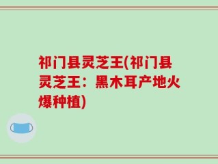 祁门县灵芝王(祁门县灵芝王：黑木耳产地火爆种植)