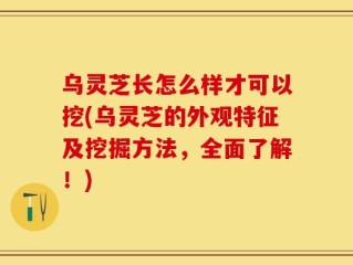 乌灵芝长怎么样才可以挖(乌灵芝的外观特征及挖掘方法，全面了解！)