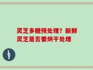 灵芝多糖预处理？新鲜灵芝是否要烘干处理