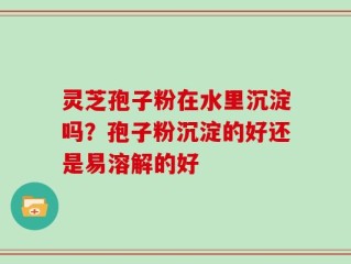 灵芝孢子粉在水里沉淀吗？孢子粉沉淀的好还是易溶解的好
