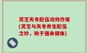 灵芝天冬配伍功效作用(灵芝与天冬养生配伍之妙，助于强身健体)