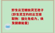 野生云芝糖肽灵芝孢子(野生灵芝豹纹云芝提取物：强化免疫力，焕发健康能量)
