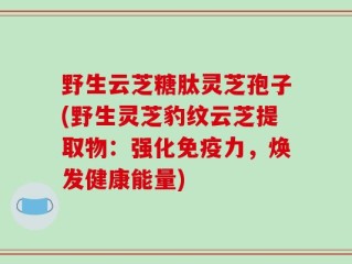 野生云芝糖肽灵芝孢子(野生灵芝豹纹云芝提取物：强化免疫力，焕发健康能量)